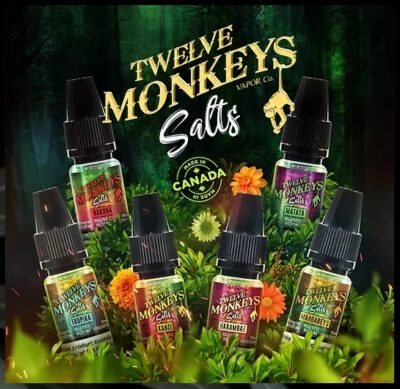 Twelve Monkeys Nic Salts Ml Hxl Station